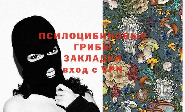 молекула духа Алексеевка
