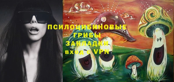 молекула духа Алексеевка